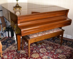 Danemann piano